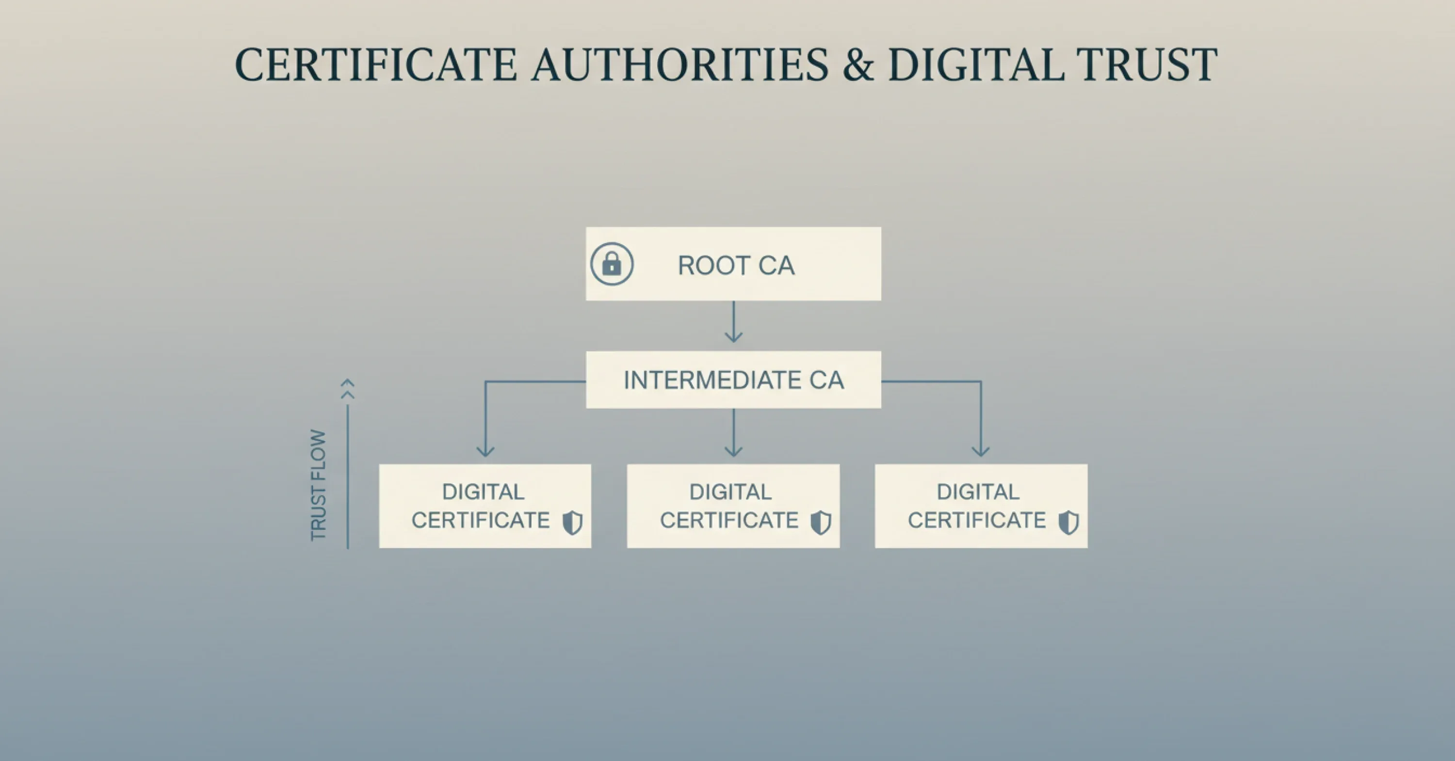 A clean infographic illustrates the digital trust hierarchy, showing how Root Certificate Authorities delegate trust through Intermediate CAs to issue secure digital certificates
